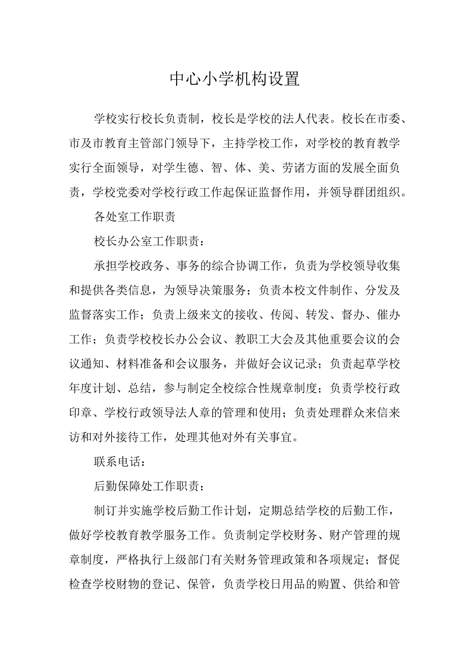 中心小学机构设置.docx_第1页