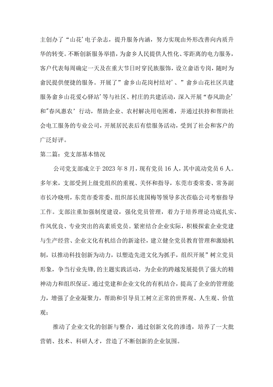 党支部基本情况范文(精选17篇).docx_第3页