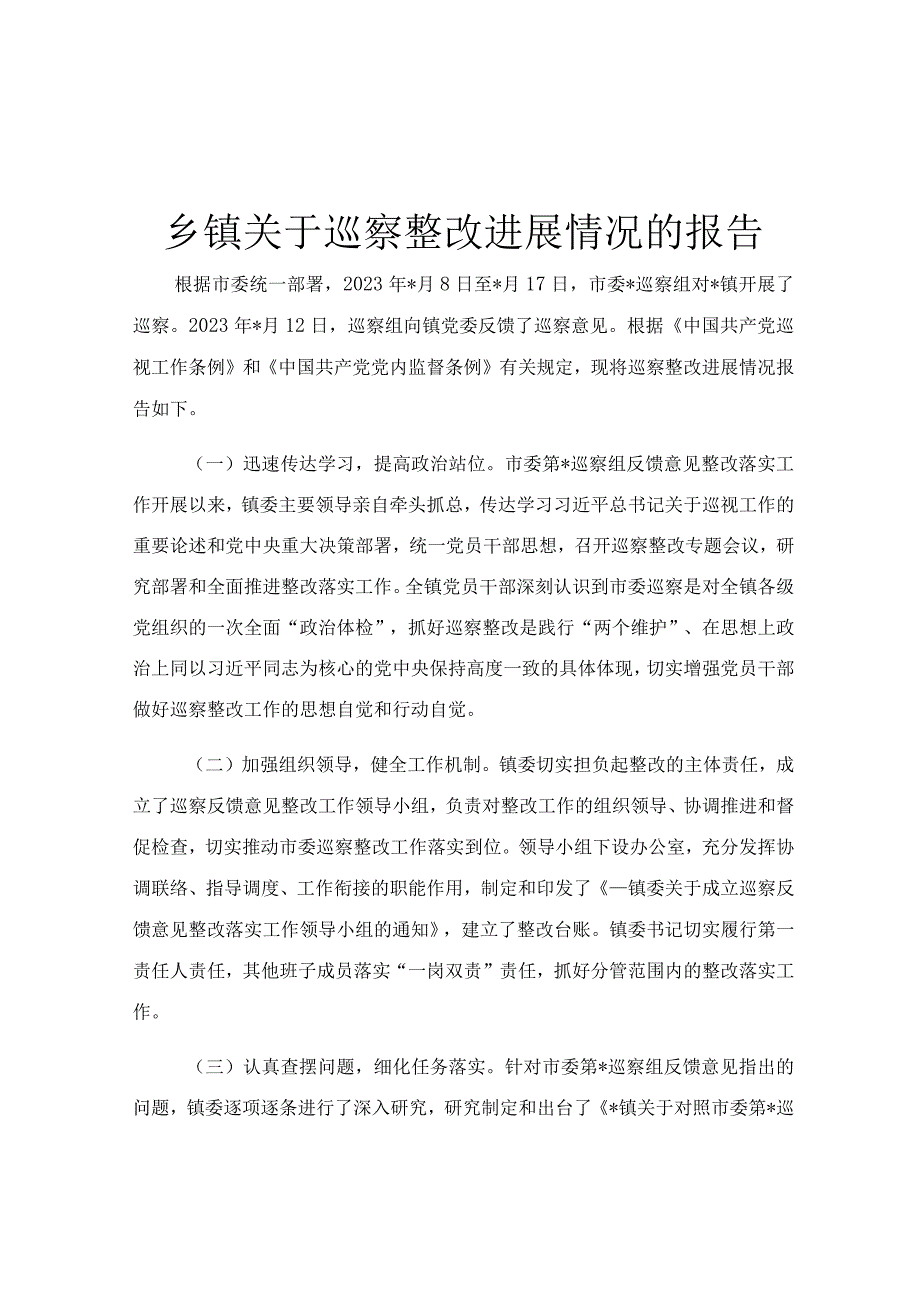 乡镇关于巡察整改进展情况的报告.docx_第1页