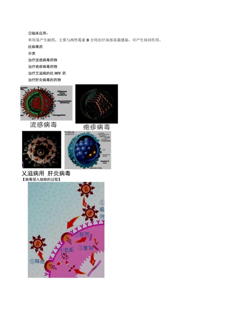 中西医结合药理学抗病毒药和抗真菌药讲义及练习.docx_第3页