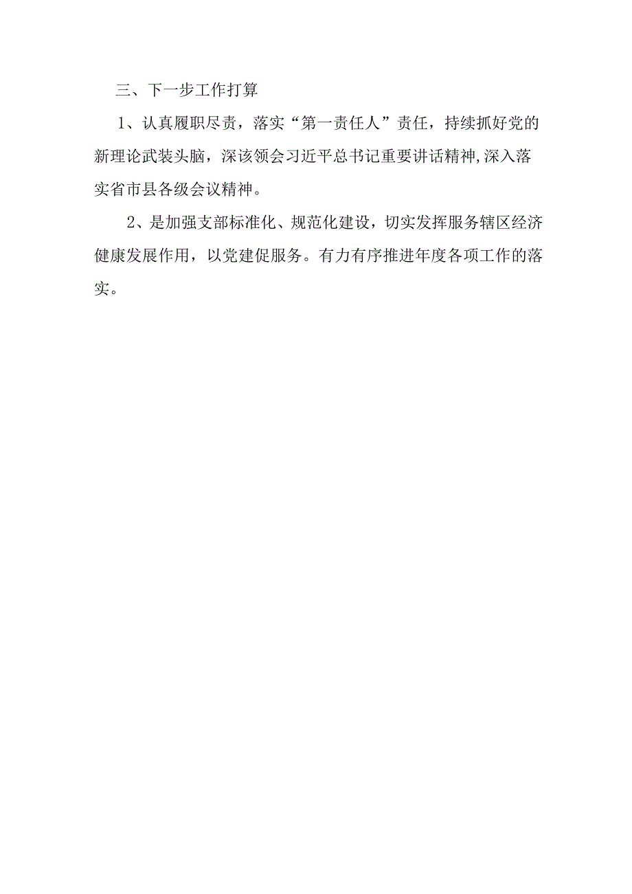 乡镇工商管理所党支部书记2023年度述职报告.docx_第3页