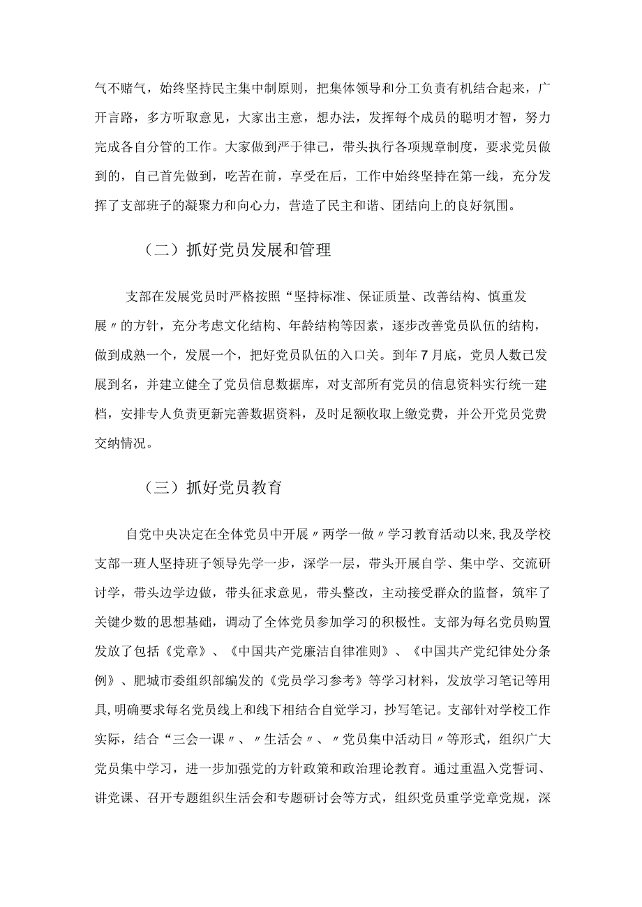 党支部书记述职报告.docx_第2页