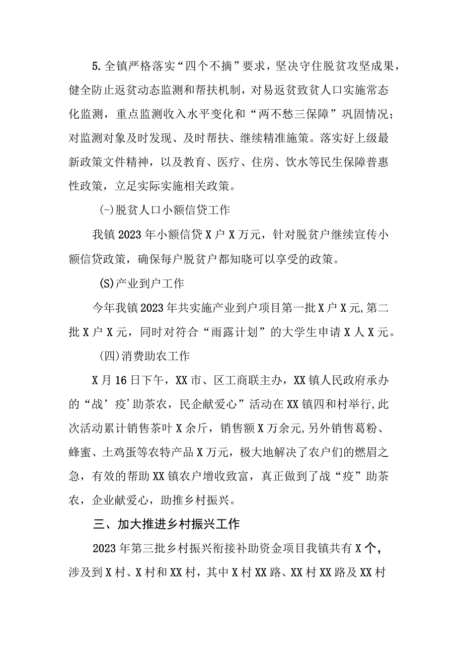 X镇乡村振兴工作站2023年年终工作总结及2023年工作计划.docx_第3页