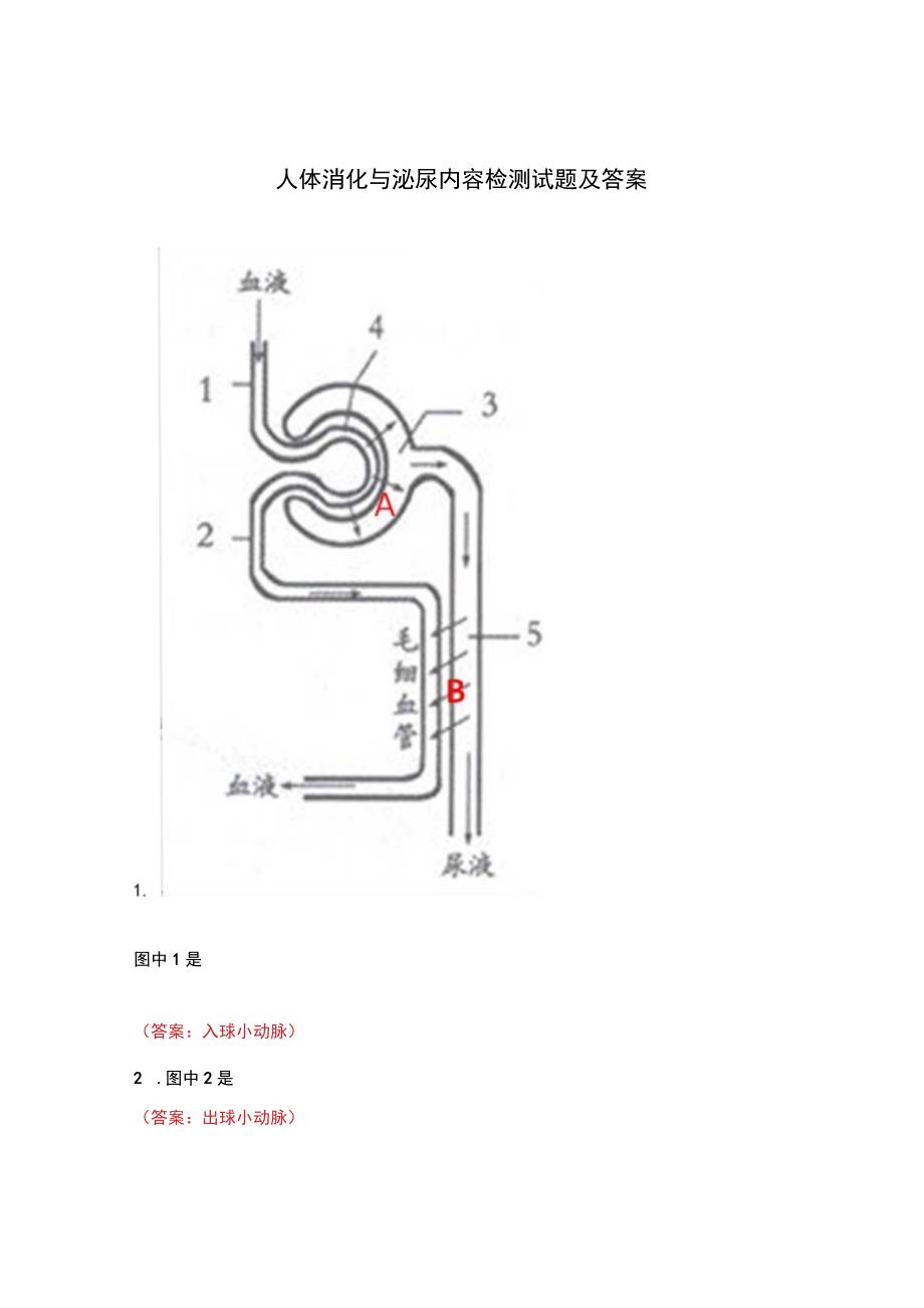 人体消化与泌尿内容检测试题及答案.docx_第1页