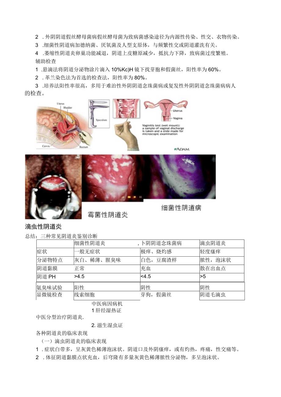 中西医结合女性生殖系统炎症讲义及练习.docx_第3页