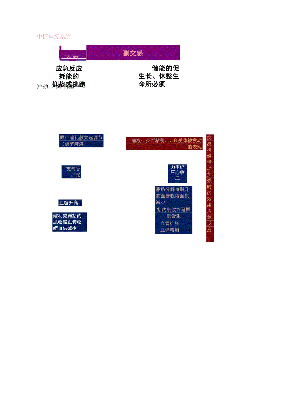 中西医结合药理学传出神经系统药物课程讲义及练习.docx_第2页