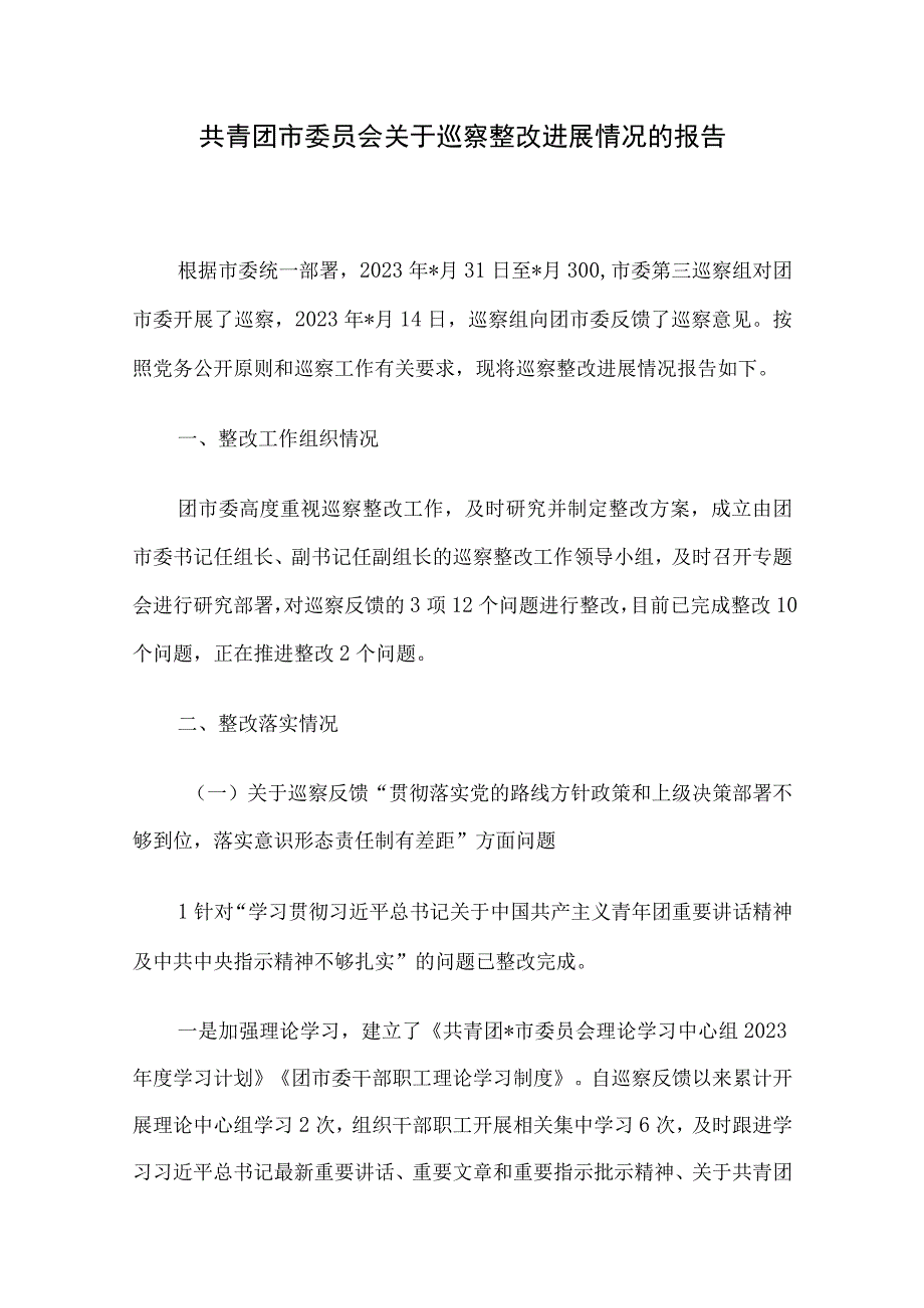 共青团市委员会关于巡察整改进展情况的报告.docx_第1页