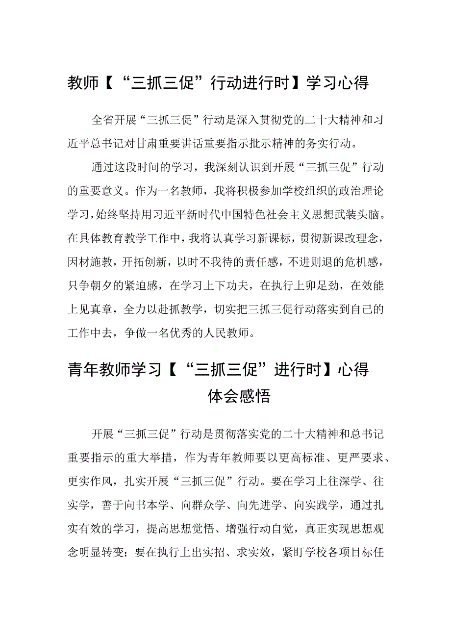 共三篇教师三抓三促行动进行时学习心得.docx_第1页