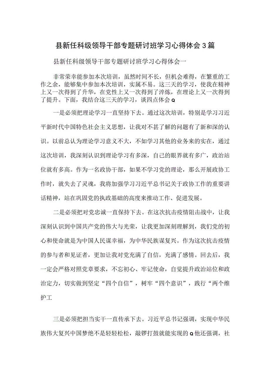 县新任科级领导干部专题研讨班学习心得体会3篇.docx_第1页