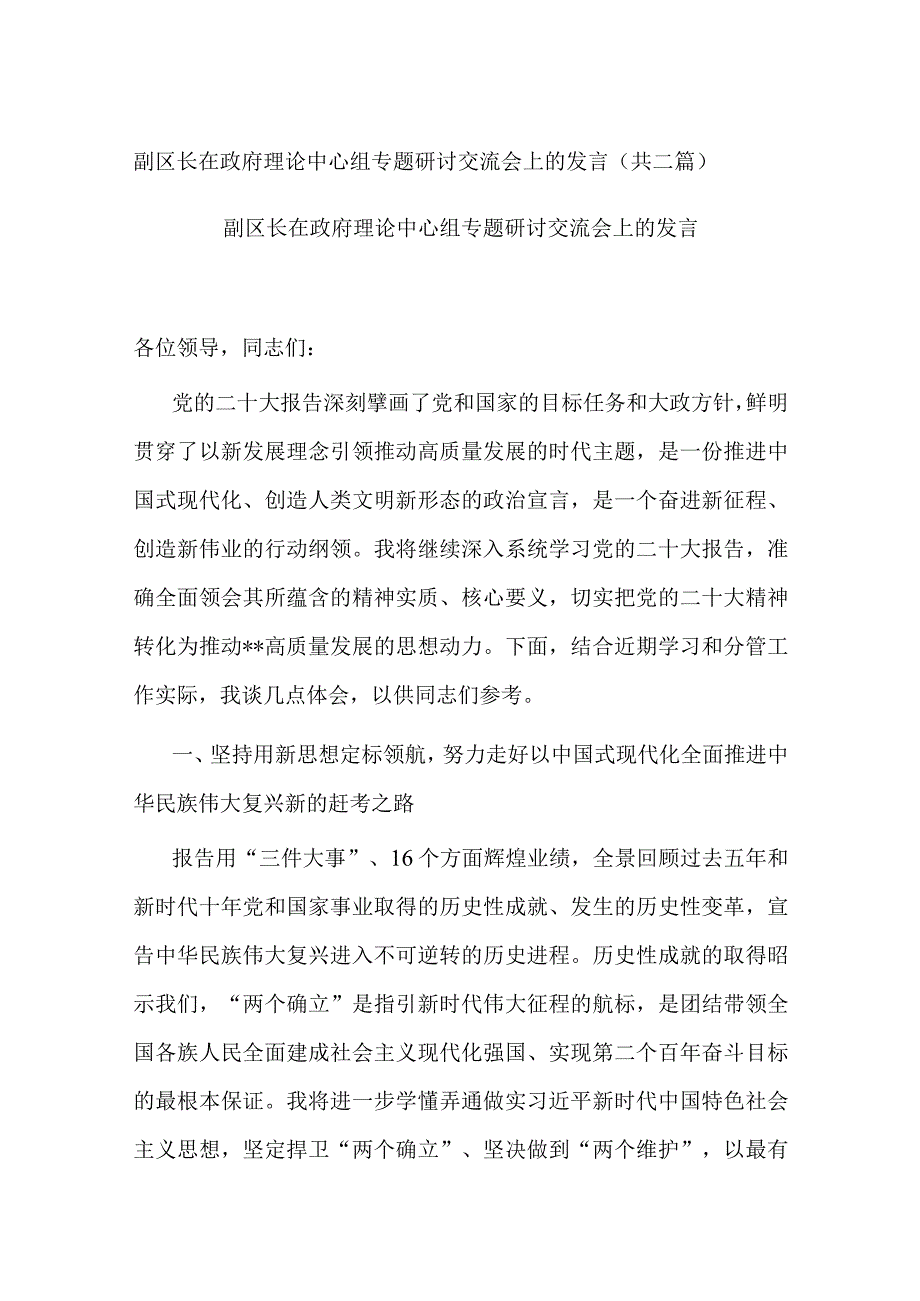 副区长在政府理论中心组专题研讨交流会上的发言共二篇.docx_第1页