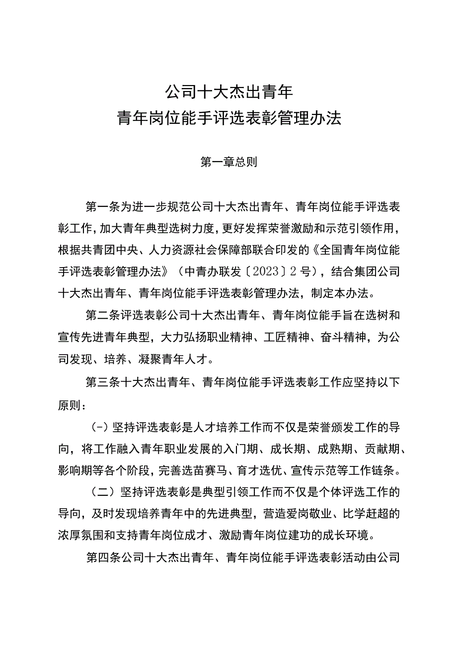 十大杰出青年青年岗位能手评选表彰管理办法.docx_第1页