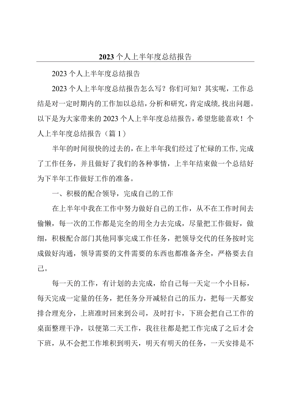 2023个人上半年度总结报告.docx_第1页