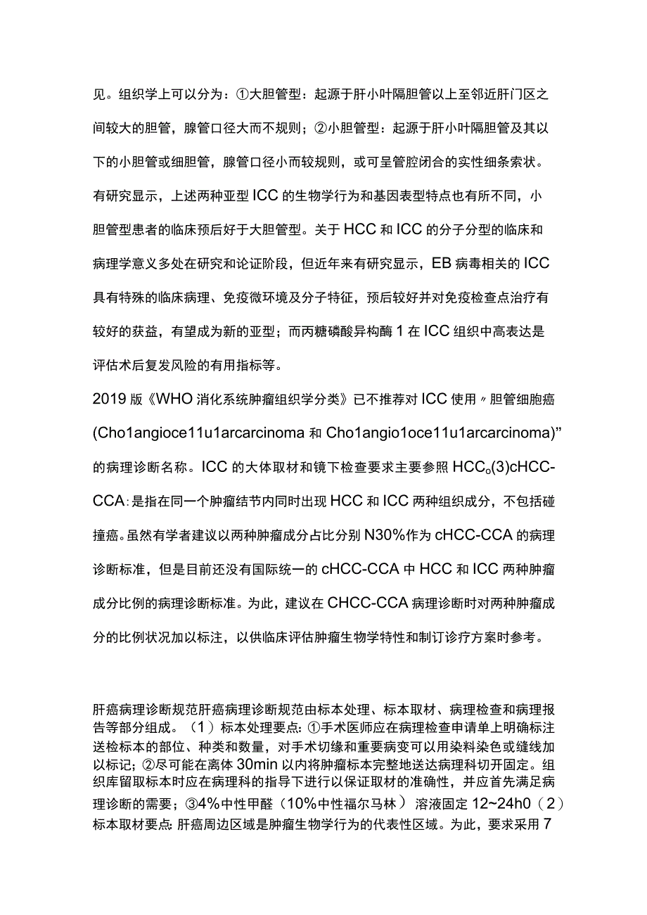 2023原发性肝癌的诊断及分期完整版.docx_第2页