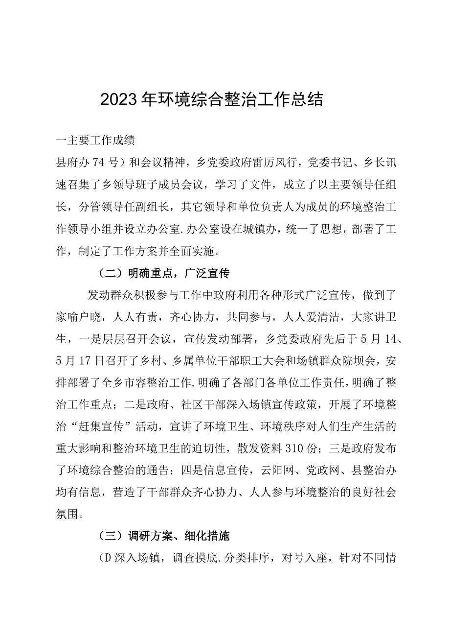 2023 年环境综合整治工作总结.docx_第1页