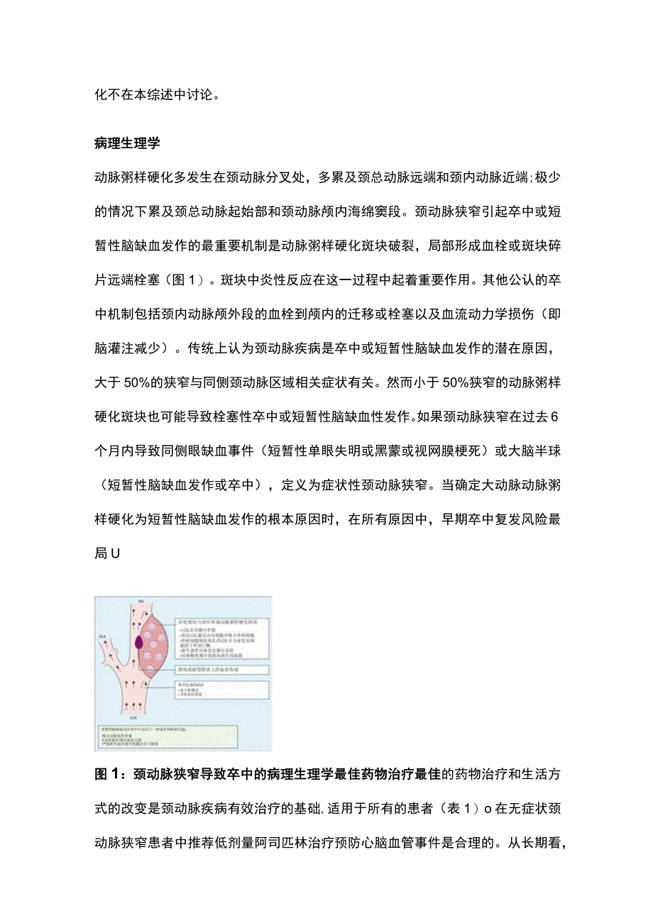 2023动脉粥样硬化性颈动脉狭窄的治疗全文.docx_第2页