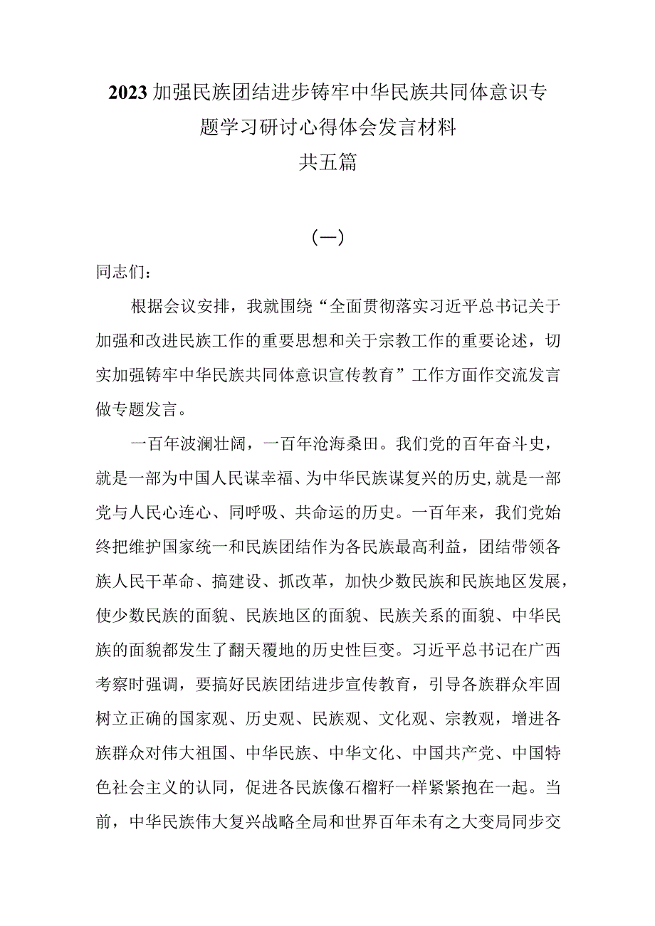 2023加强民族团结进步铸牢中华民族共同体意识专题学习研讨心得体会发言材料共五篇.docx_第1页