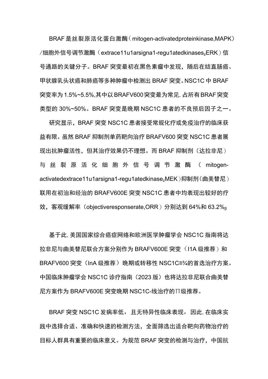 2023中国晚期非小细胞肺癌 BRAF 突变诊疗专家共识完整版.docx_第2页