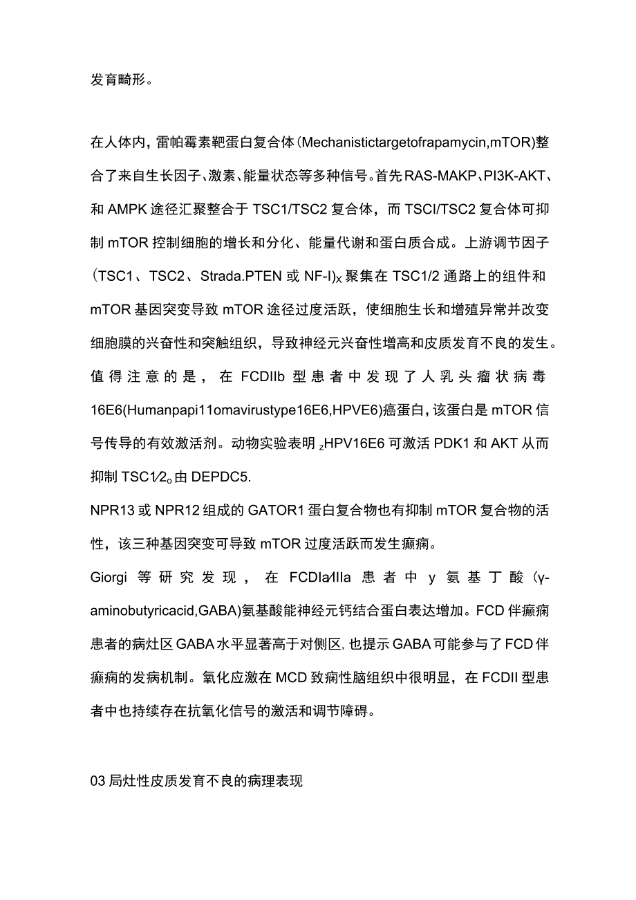 2023局灶性皮质发育不良与癫痫：局灶性皮质发育不良分类及诊断更新全文.docx_第3页