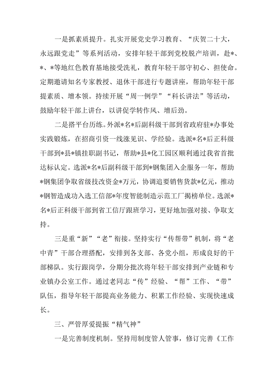 2023市工信局国资委党组某县区县委组织部年轻干部队伍建设监督经验材料4篇.docx_第3页