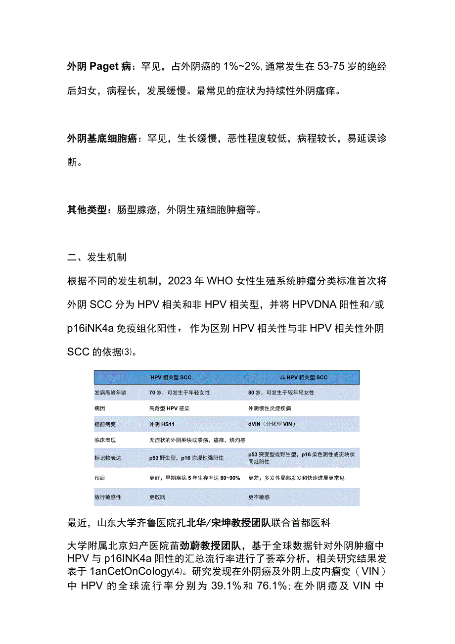 2023外阴癌的发病机制及诊治要点全文.docx_第2页