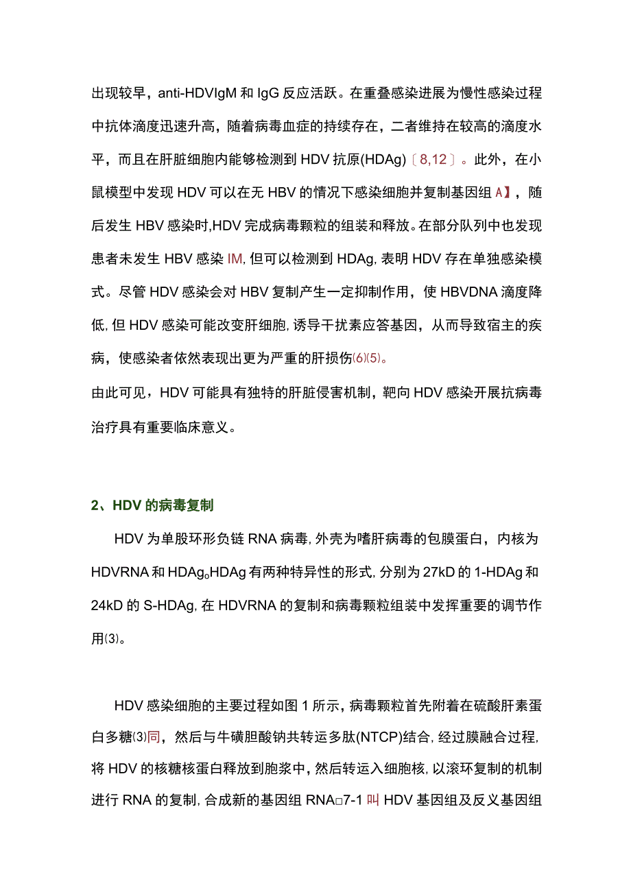 2023丁型肝炎抗病毒治疗药物的研究进展全文.docx_第2页