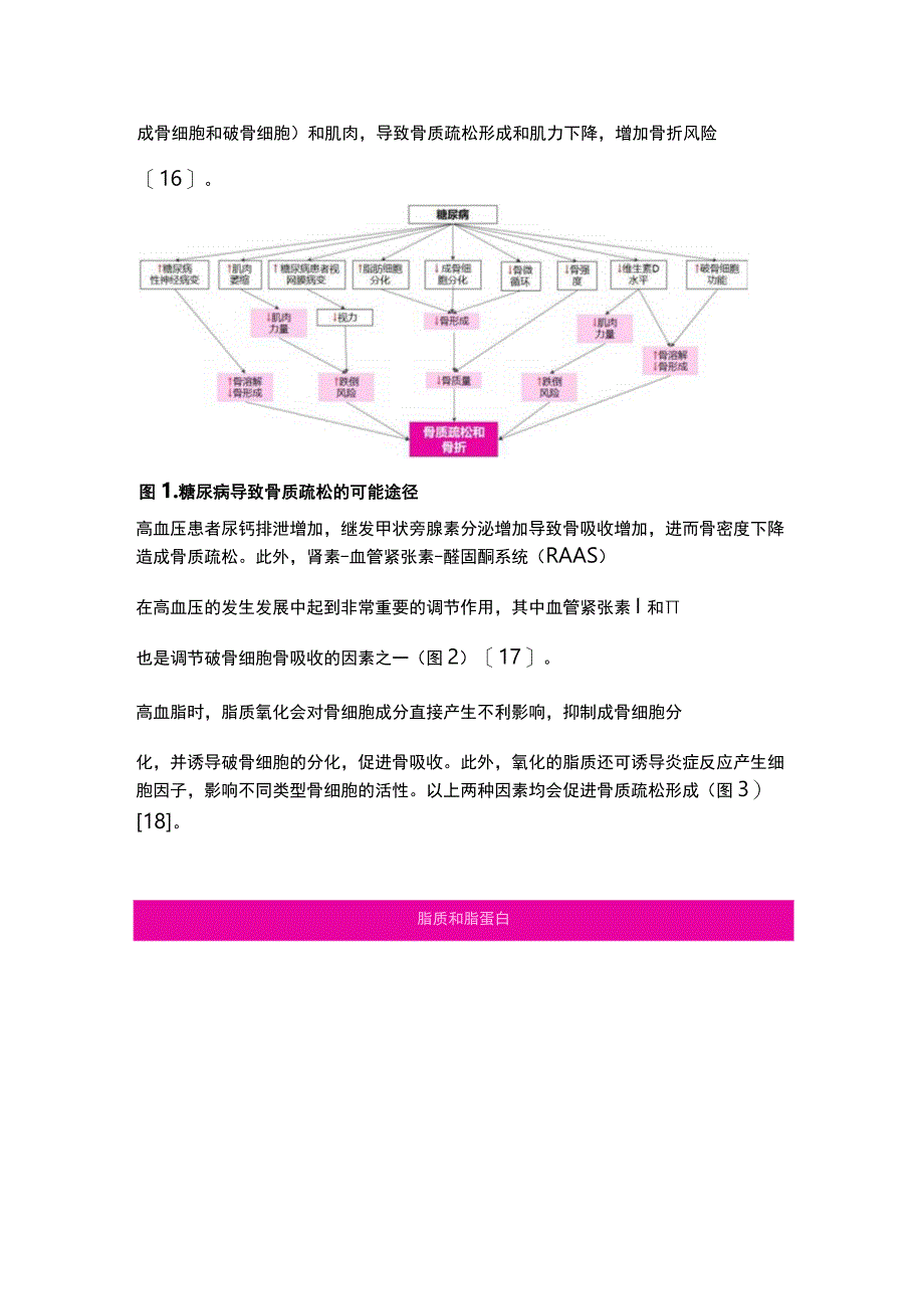 2023三高人群的骨质疏松及骨折风险的防治全文.docx_第3页