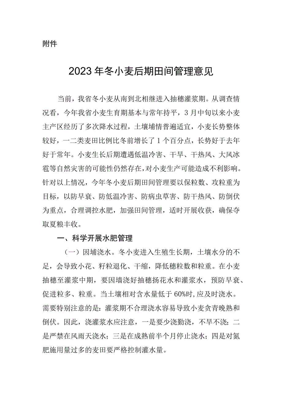 2023年冬小麦后期田间管理意见.docx_第1页