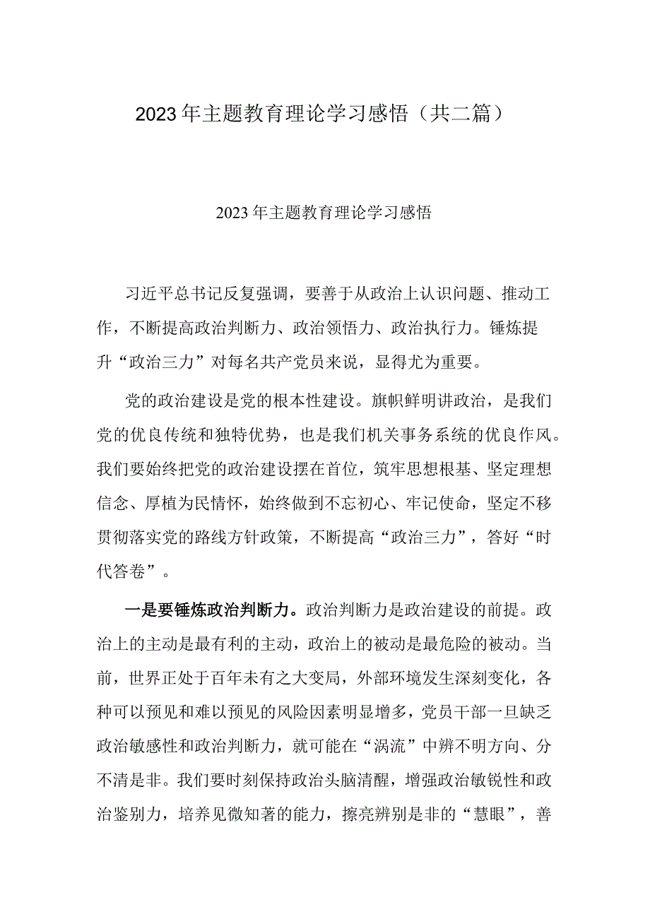 2023年主题教育理论学习感悟共二篇.docx_第1页