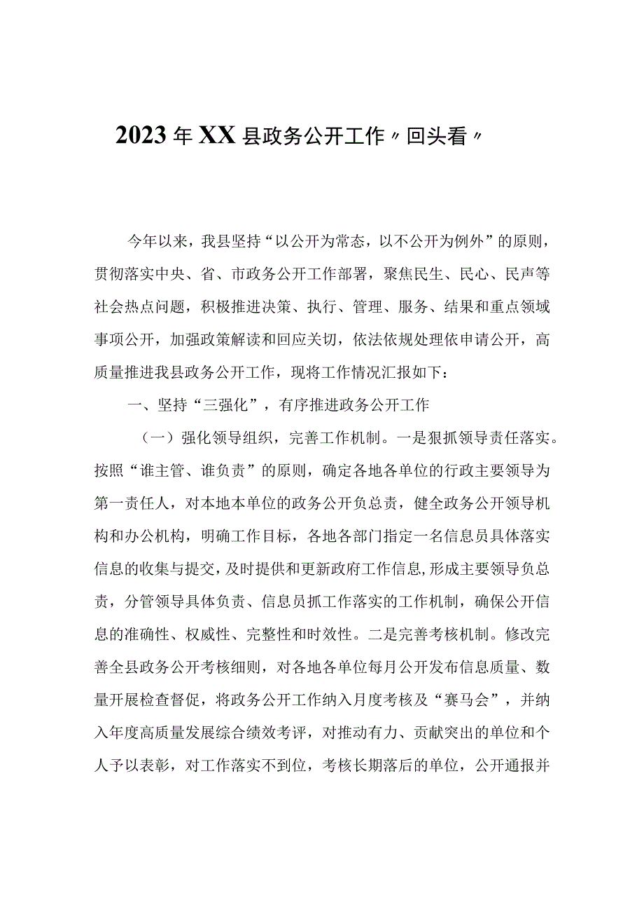 2023年XX县政务公开工作回头看自查报告.docx_第1页