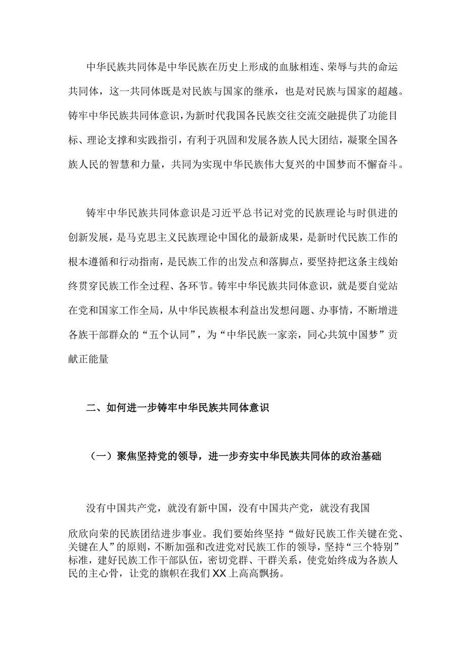 2023年全面加强民族团结进步铸牢中华民族共同体意识专题学习研讨心得体会发言材料二份供参考.docx_第2页