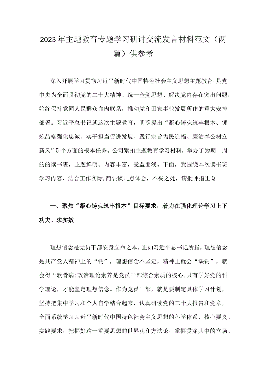 2023年主题教育专题学习研讨交流发言材料范文两篇供参考.docx_第1页