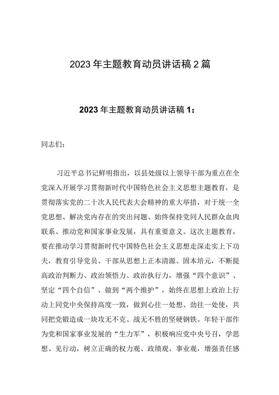 2023年主题教育动员讲话稿范文2篇.docx_第1页