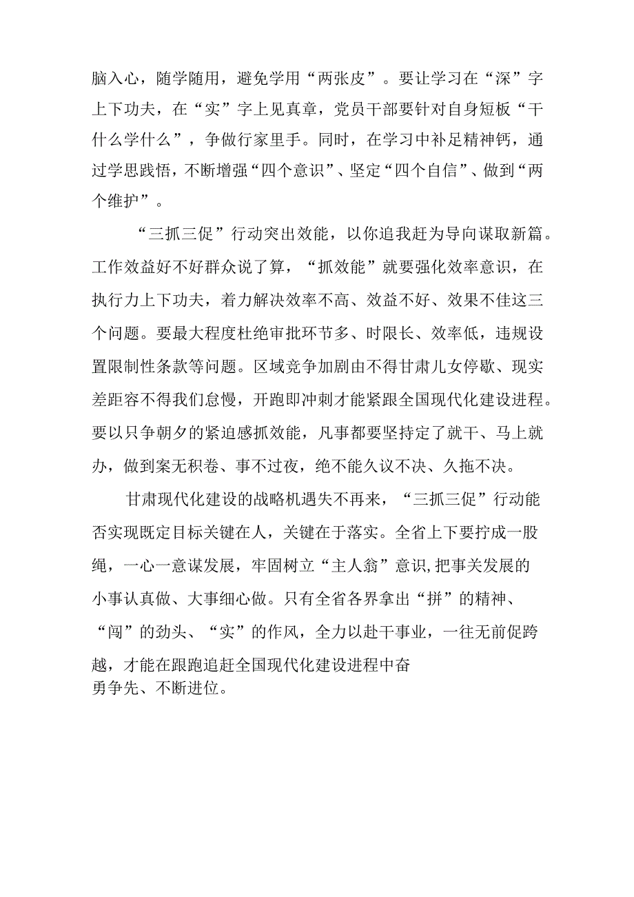 2023年全面开展抓学习促提升抓执行促落实抓效能促发展三抓三促行动研讨心得发言材料范文参考三篇.docx_第3页