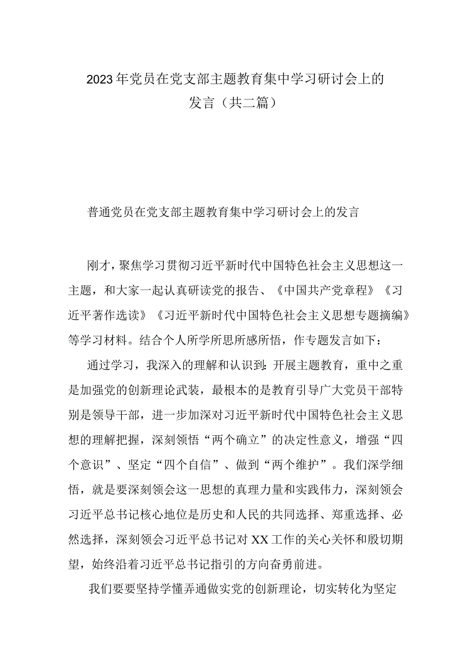 2023年党员在党支部主题教育集中学习研讨会上的发言共二篇.docx_第1页