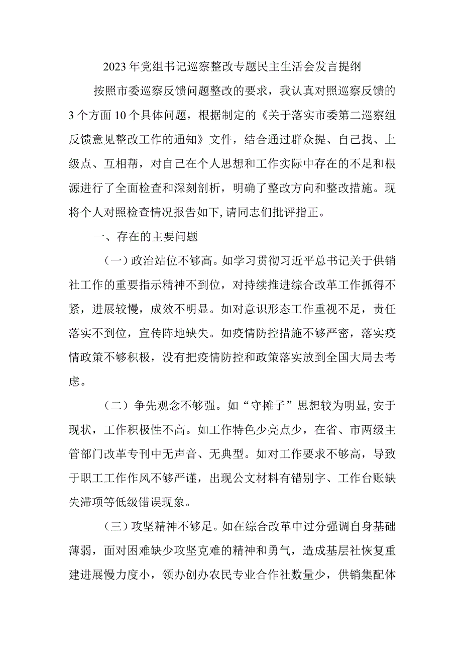 2023年党组书记巡察整改专题民主生活会发言提纲.docx_第1页