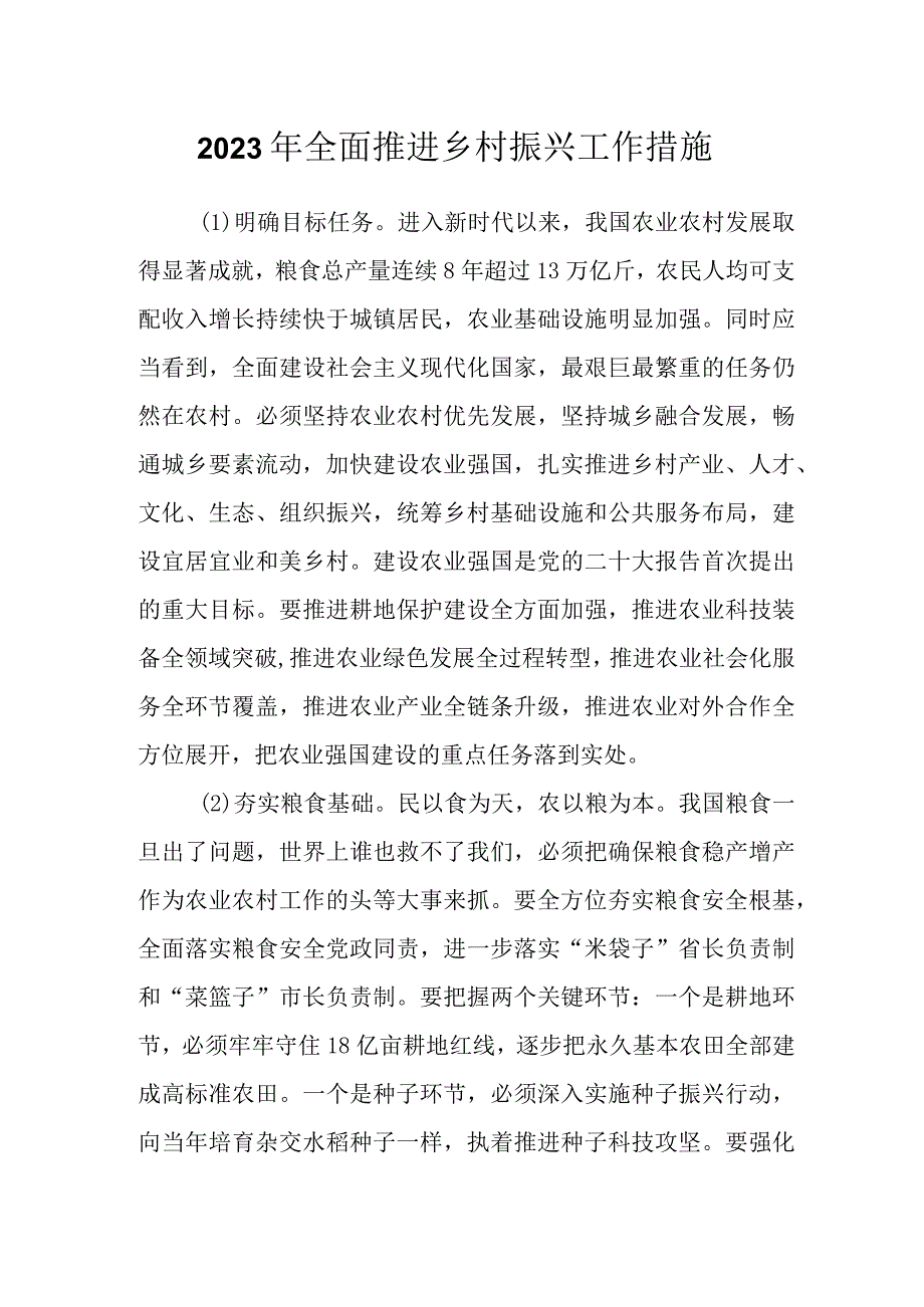 2023年全面推进乡村振兴工作措施.docx_第1页