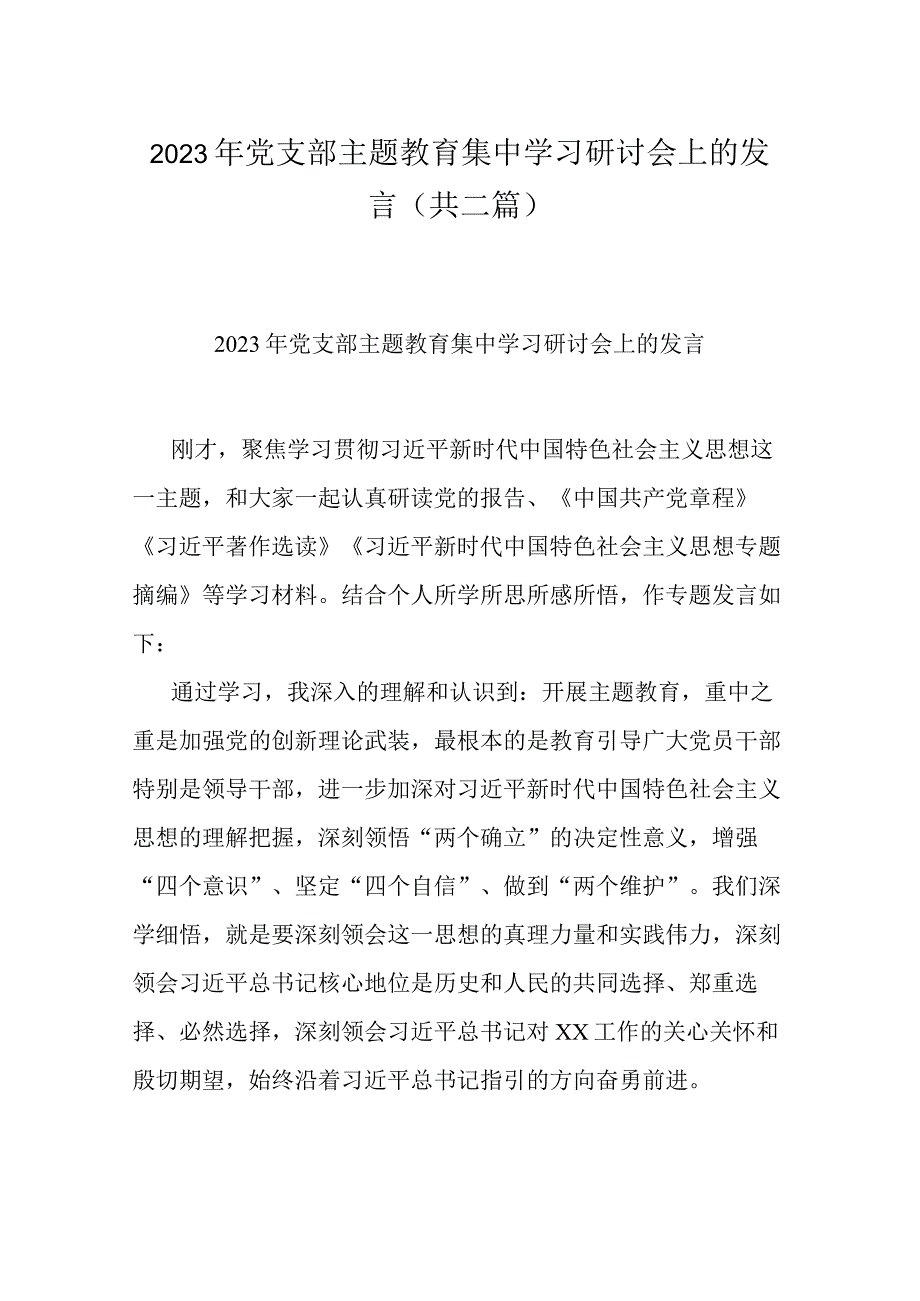 2023年党支部主题教育集中学习研讨会上的发言共二篇.docx_第1页