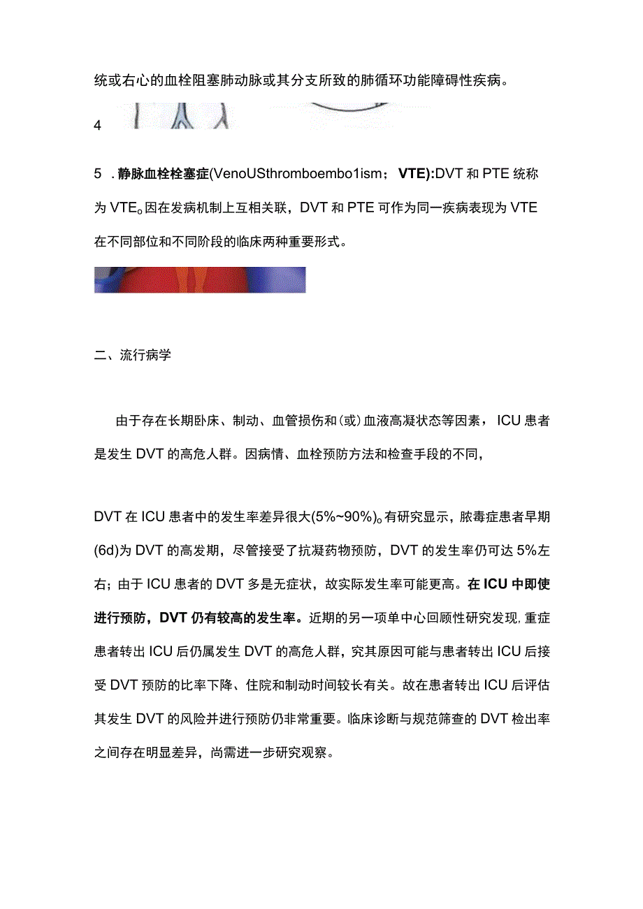 2023年ICU患者深静脉血栓形成预防指南完整版.docx_第2页