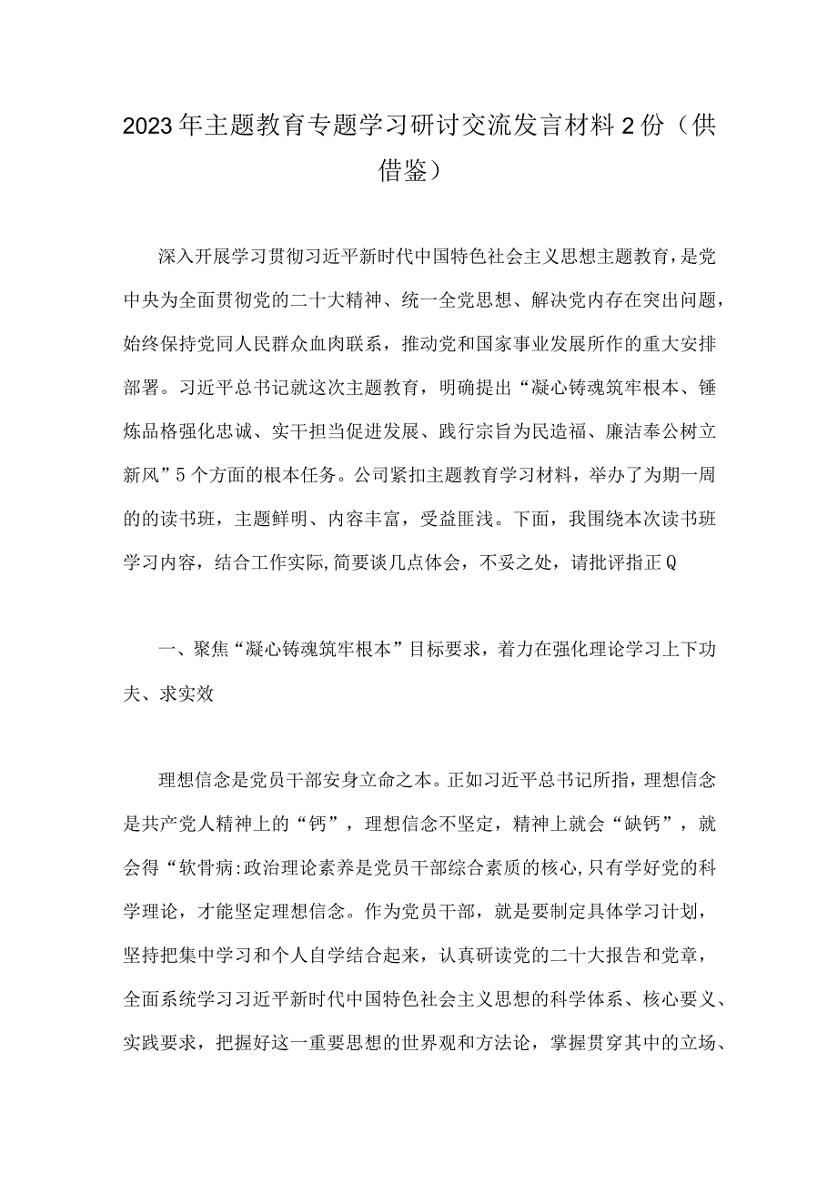 2023年主题教育专题学习研讨交流发言材料2份供借鉴.docx_第1页