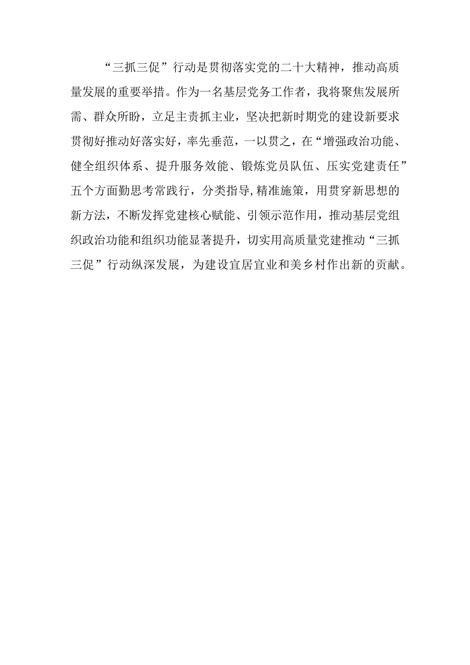 2023年乡镇街道谈开展三抓三促行动心得体会及感想汇编.docx_第3页