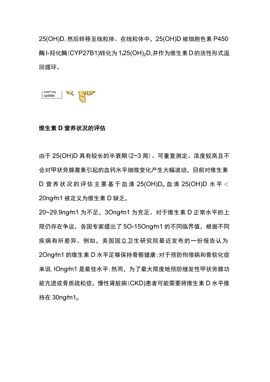 2023维生素D活性成分在慢性肾脏病患者中的应用循证证据总结全文.docx_第2页