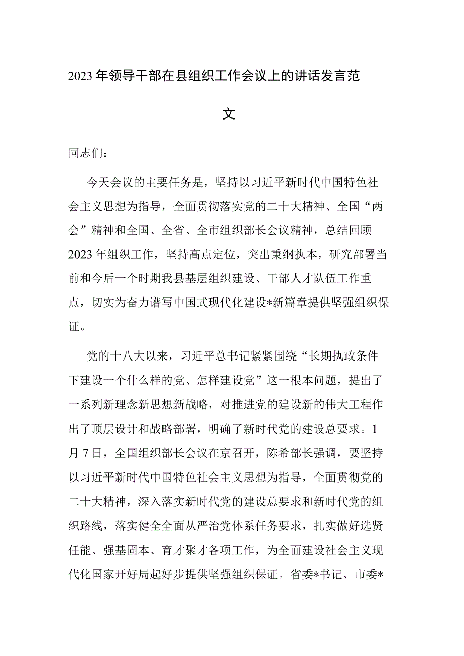 2023年领导干部在县组织工作会议上的讲话发言范文.docx_第1页