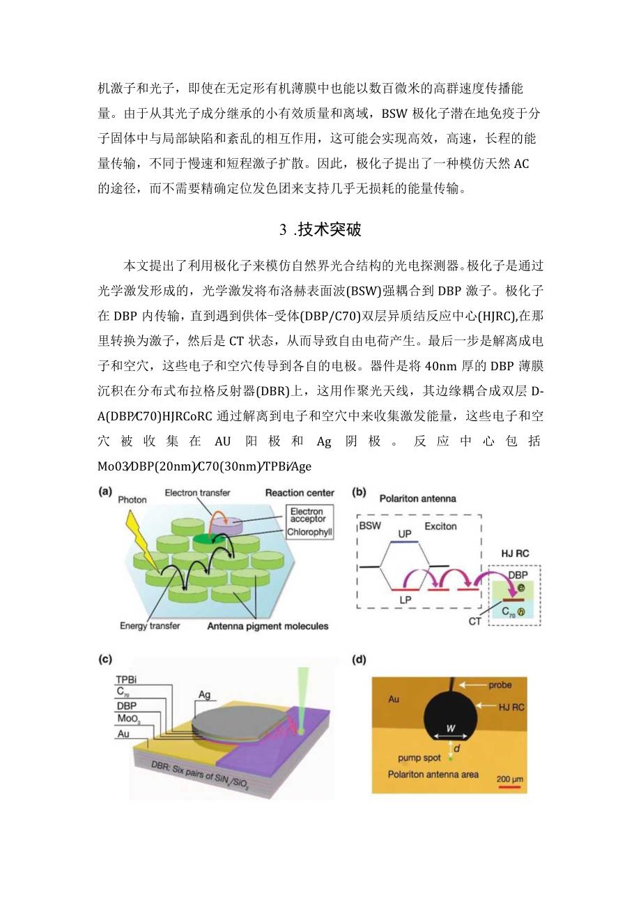 Optica：类似光合作用的新型光电探测器.docx_第2页