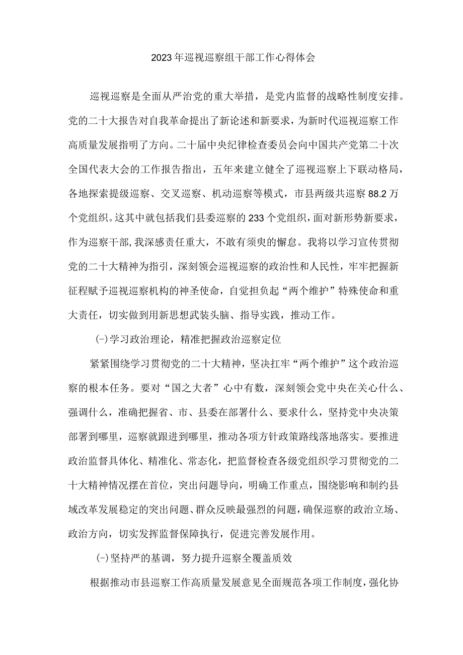 2023年县纪检巡察组巡检工作个人心得体会 合计8份.docx_第2页