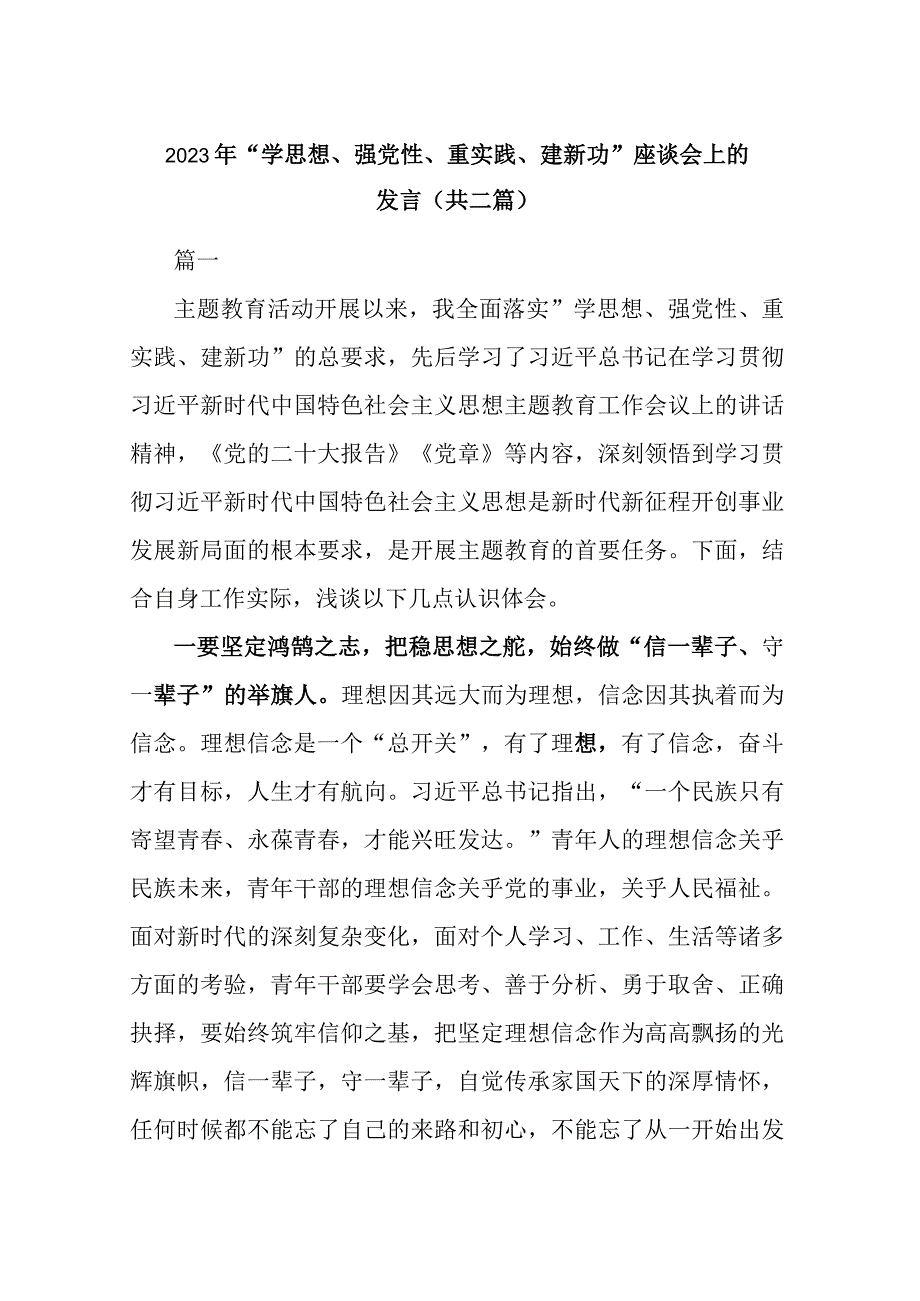 2023年学思想强党性重实践建新功座谈会上的发言共二篇.docx_第1页