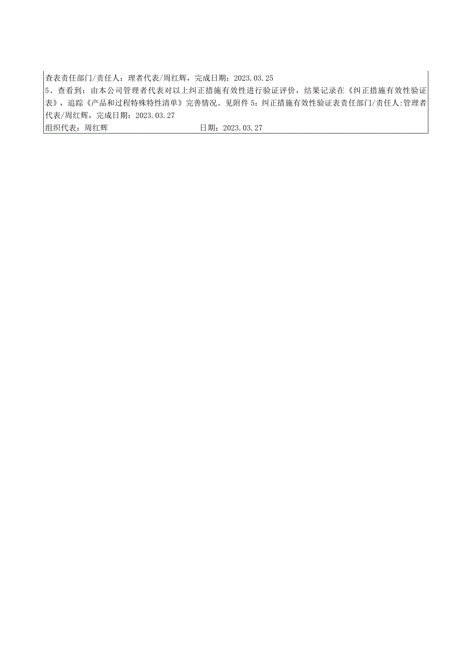 4 IATF16949 外审不符合报告填写范本.docx_第2页