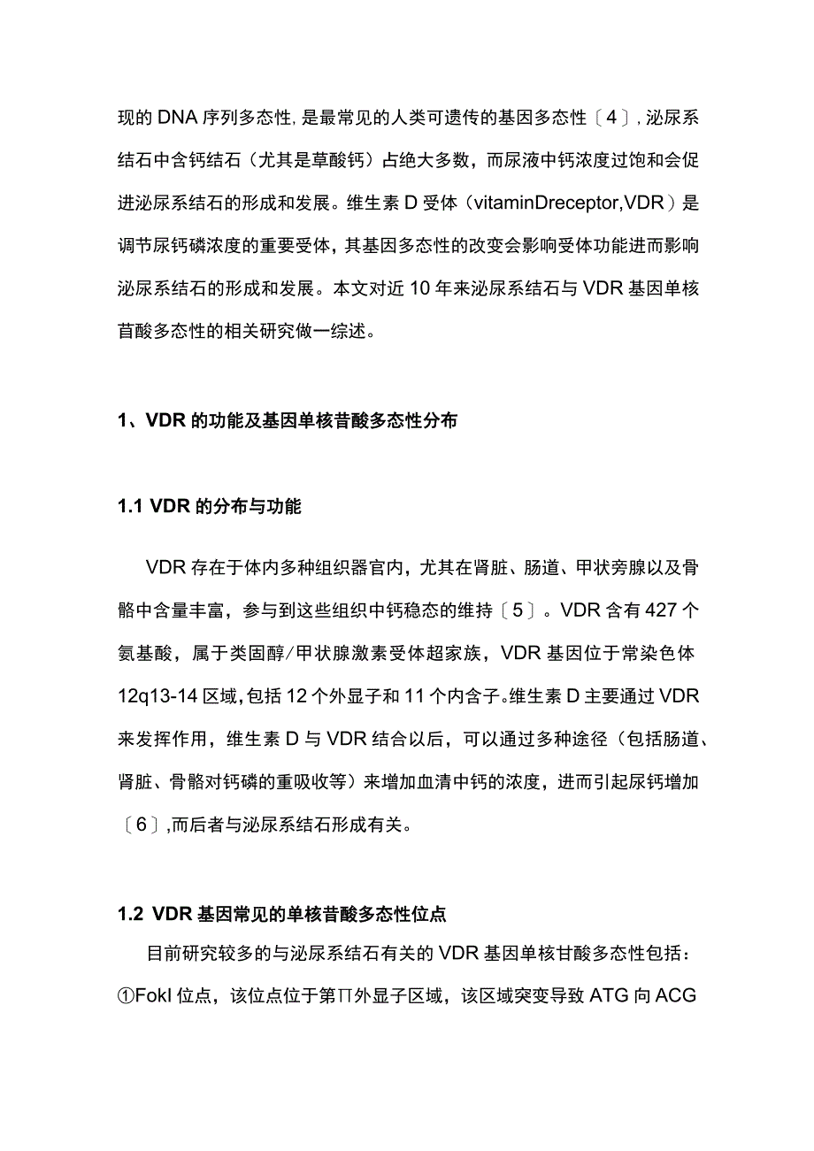 2023维生素 D 受体基因单核苷酸多态性在泌尿系结石中的研究进展全文.docx_第2页