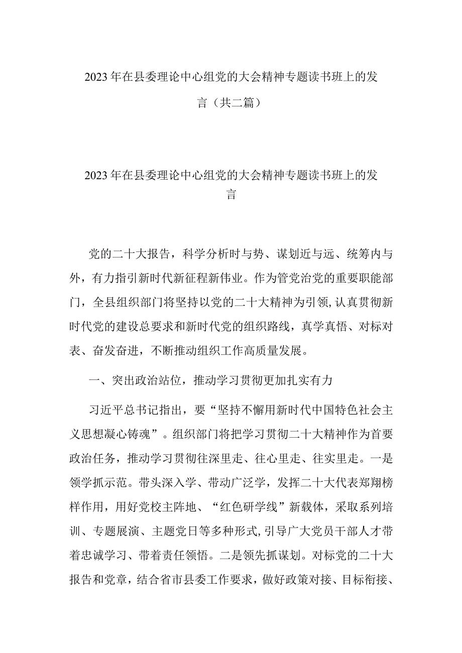 2023年在县委理论中心组党的大会精神专题读书班上的发言共二篇.docx_第1页