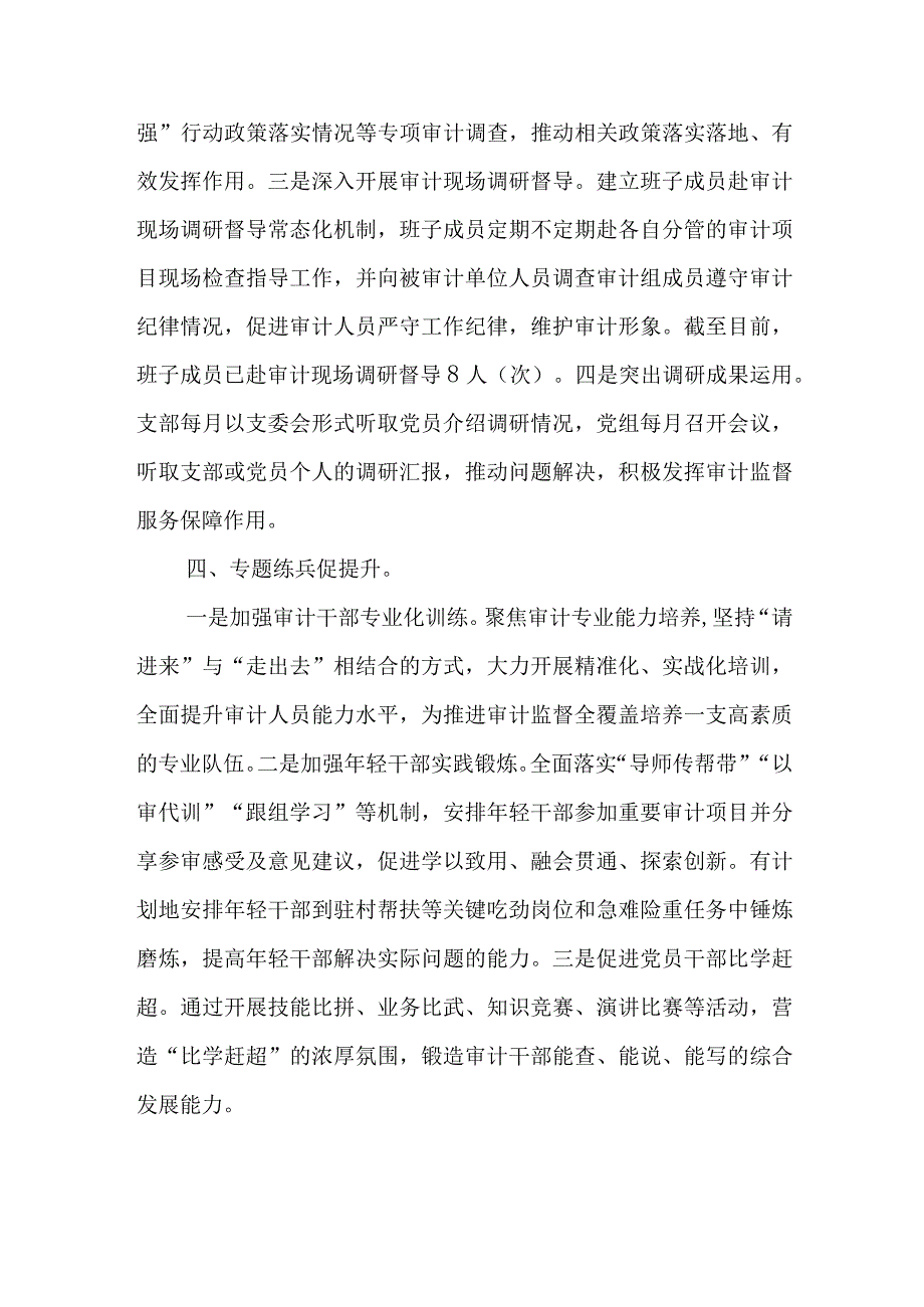 2023年市审计局在推动三抓三促任务落实材料.docx_第3页