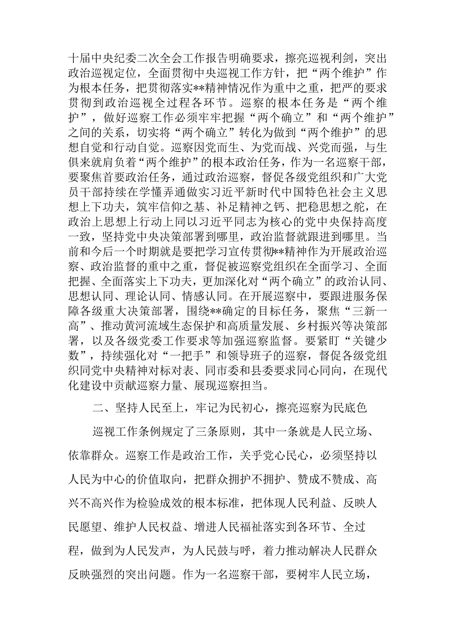 2023年巡察干部在纪检监察干部队伍教育整顿研讨交流会上的发言.docx_第2页